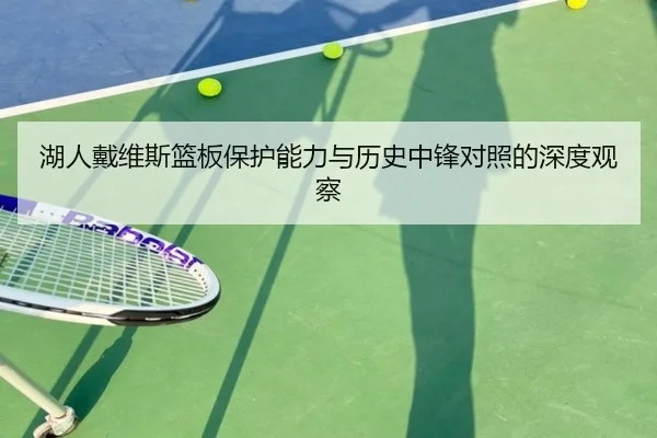 湖人戴维斯篮板保护能力与历史中锋对照的深度观察 - pg
